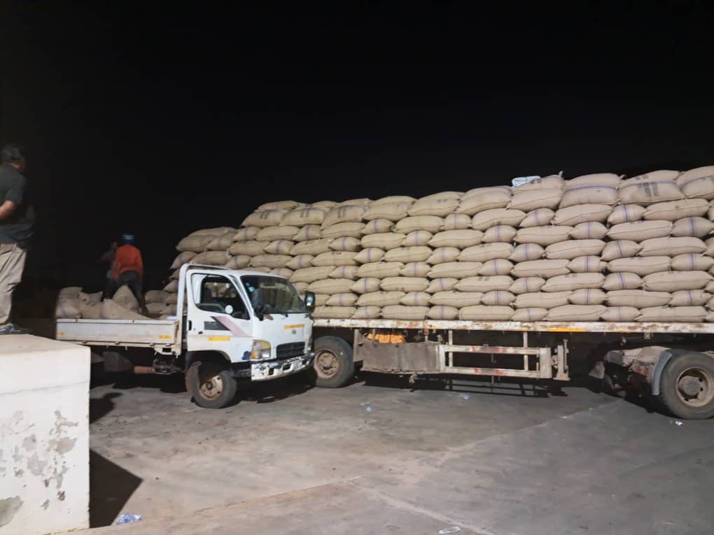 A picture of our cashew nut being packed on a track.jpg